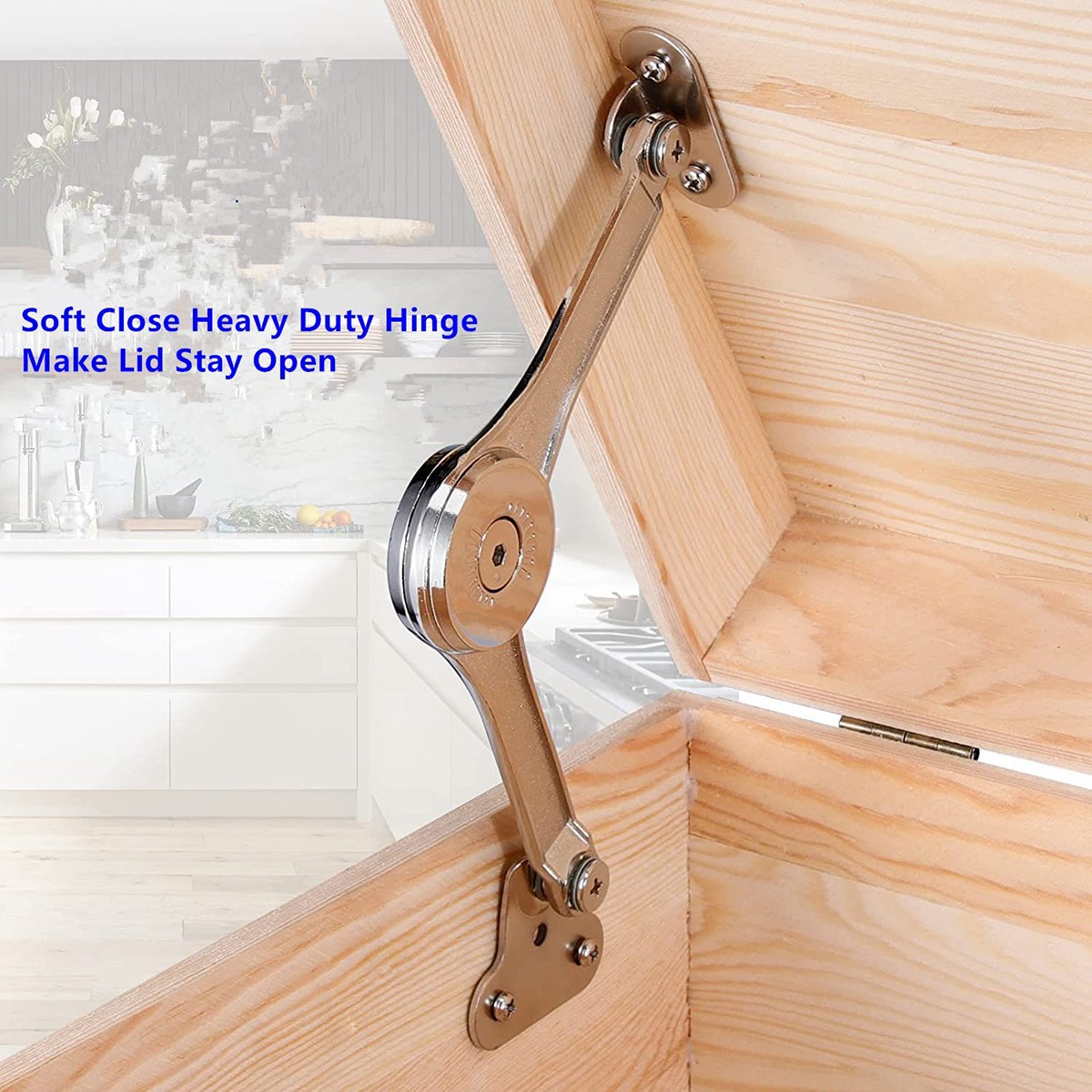 [Y39A]2 Pcs Heavy Duty Lid Hin - Cabinet Hinges 评论和价格